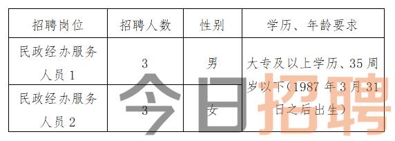 平武县民政局最新招聘信息全面解析