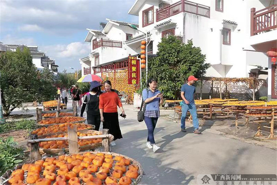 恭城瑶族自治县农业农村局新项目推动农业现代化，乡村振兴再添动力