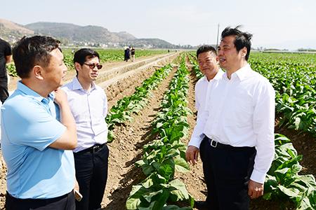 澄江县农业农村局最新动态报道