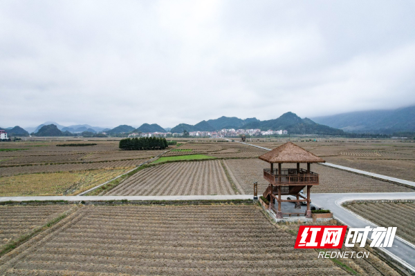 湾井镇最新项目，地区发展的强大引擎引领力量