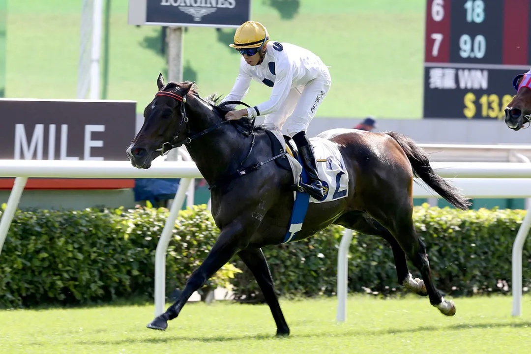 香港特马资料王中王,状况评估解析说明_尊贵款46.367