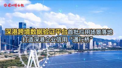 新澳天天开奖资料大全下载安装,实地验证数据应用_WP68.625