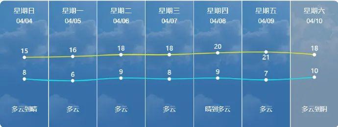 大公镇最新招聘信息全面解析