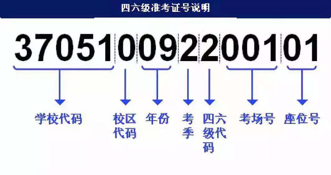 2024年12月10日 第58页