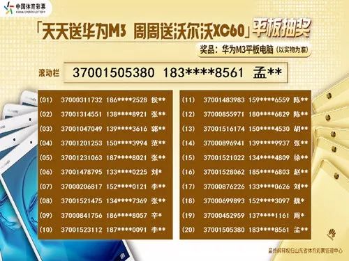 新澳天天彩1052期免费资料大全特色,专业解析说明_4K版73.702