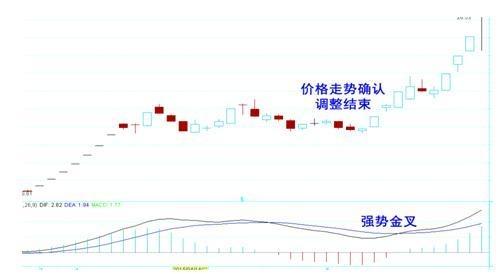 今晚上一特中马澳门,精细化策略落实探讨_专业版6.713