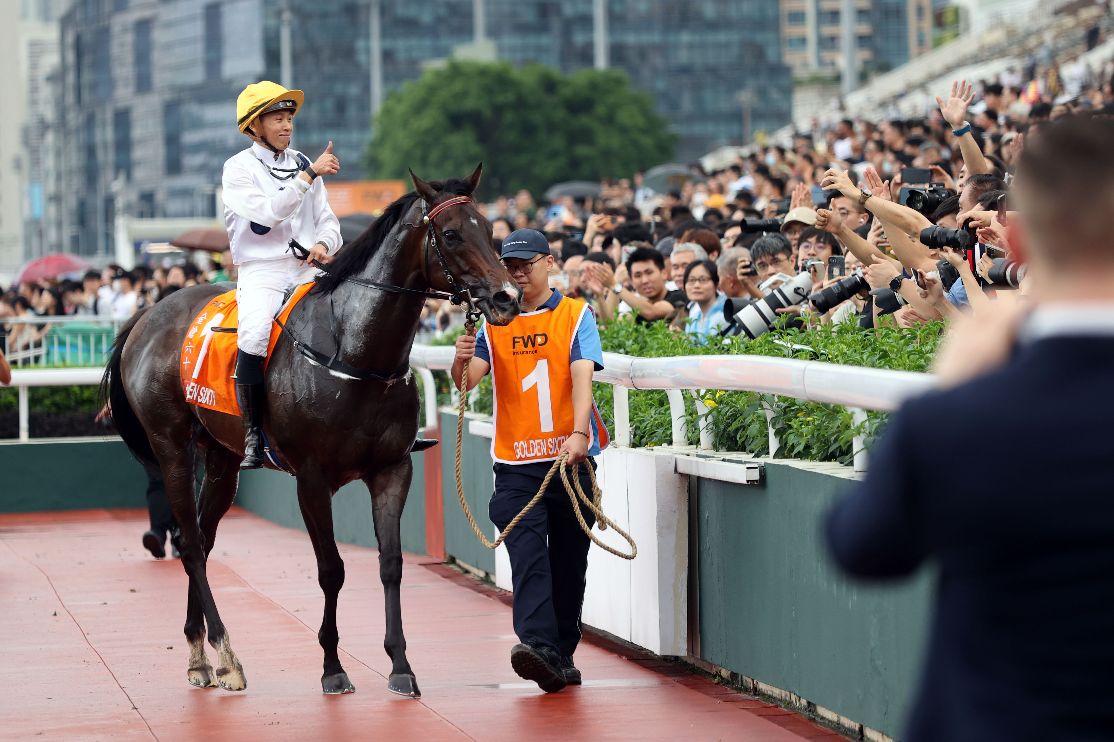 2024香港赛马全年免费资料,实地验证设计方案_PT78.848