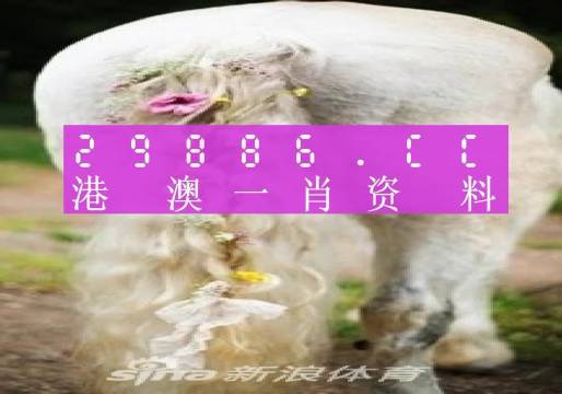 澳门一肖一码精准100王中王婪49图库,重要性解释落实方法_经典版172.312