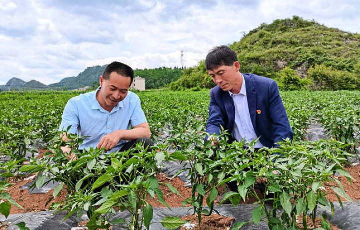 宣威市文化广电体育和旅游局招聘启事概览