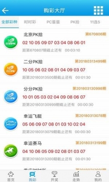 澳门王中王100%期期中,实地解答解释定义_特供版171.315