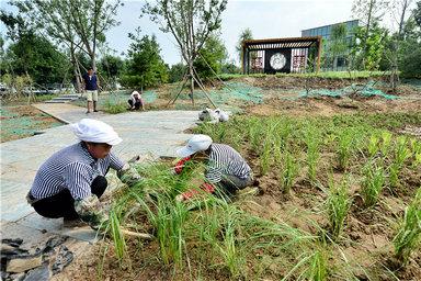 下木达村全新发展规划揭秘