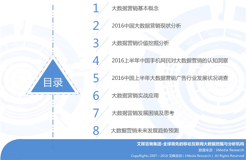 新澳特玛内部资料,综合研究解释定义_入门版38.513