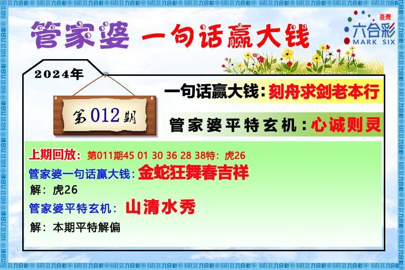 管家婆的资料一肖中特176期,定性说明解析_限定版12.87