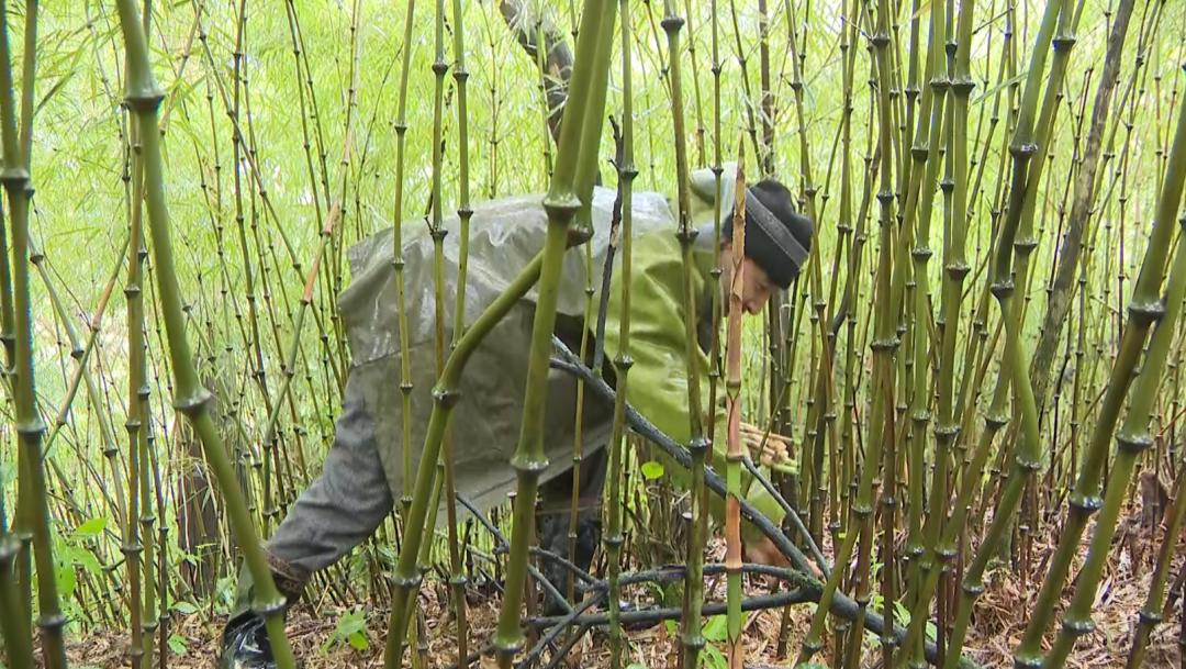 镇雄县特殊教育事业单位最新动态探索