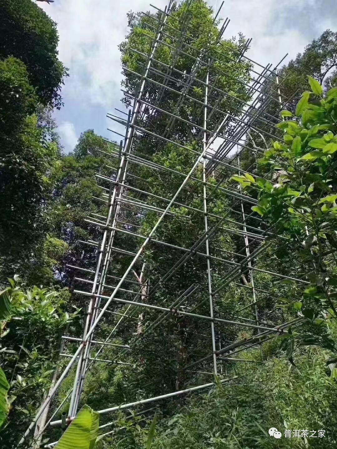 瑶区瑶族乡及四大社区天气预报更新