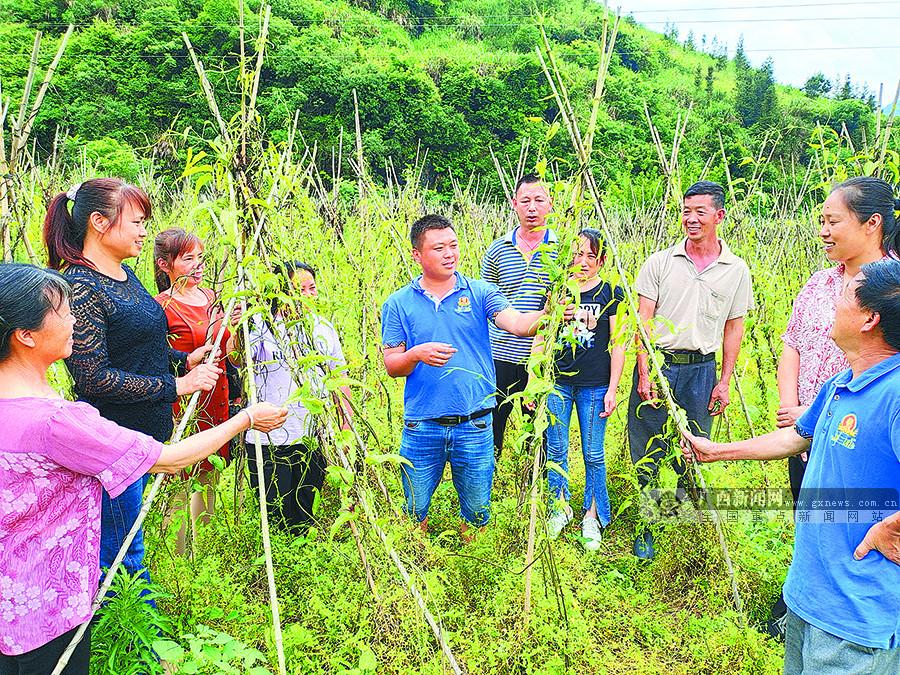 恭城瑶族自治县市场监督管理局最新发展规划概览