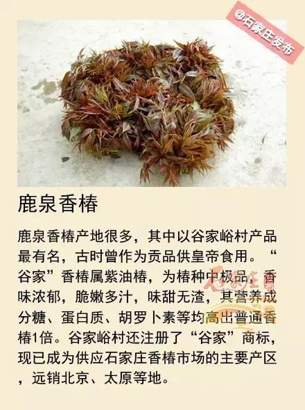 鹿泉市市场监督管理局发布最新动态