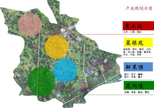 永阳镇未来繁荣蓝图，最新发展规划揭秘