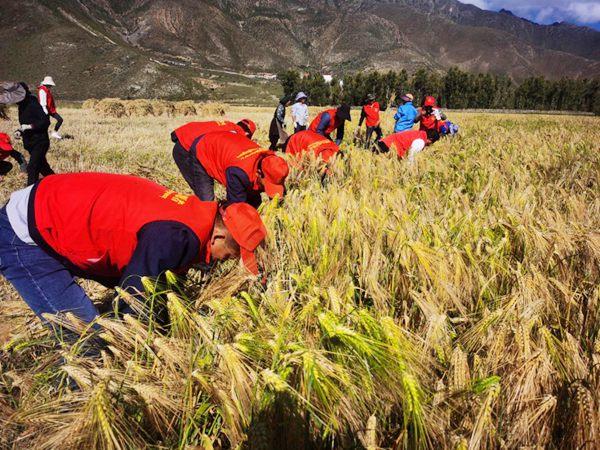 达孜县教育局最新动态报道