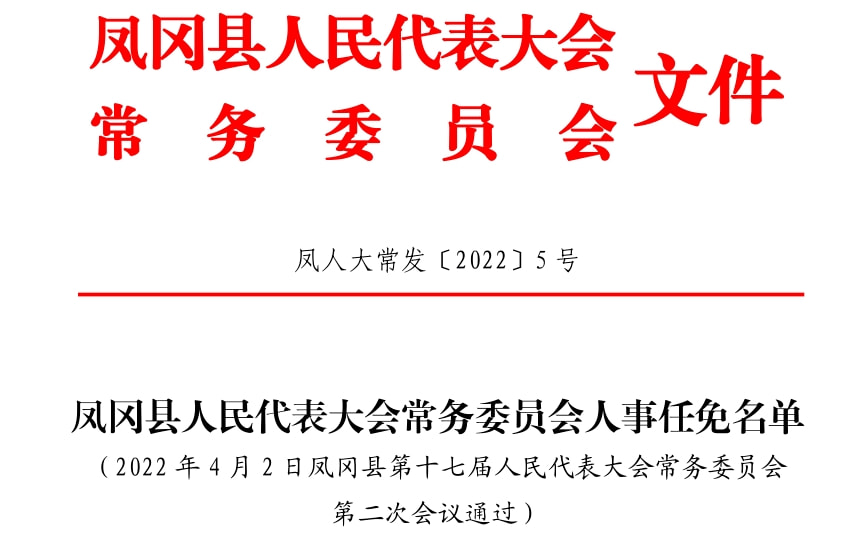 文成县人民政府办公室人事任命，构建高效政务体系的重要一步