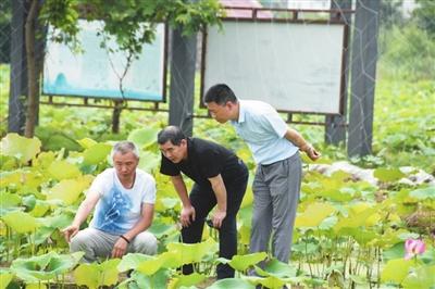 武义县住房和城乡建设局最新项目概览