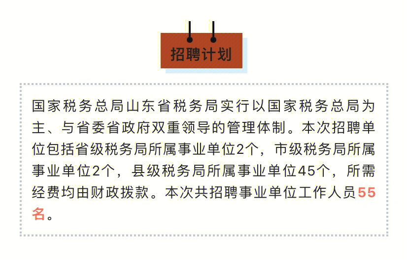 威海市国家税务局最新招聘信息公开详解