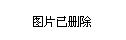 忻州市林业局领导团队全新亮相，未来展望引领绿色发展新篇章