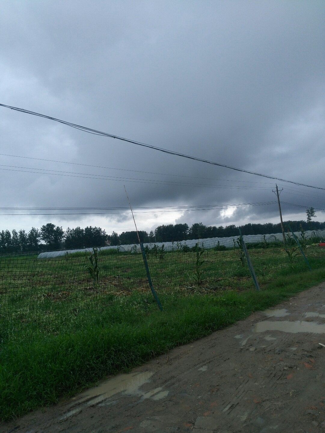 黄雷乡天气预报更新通知