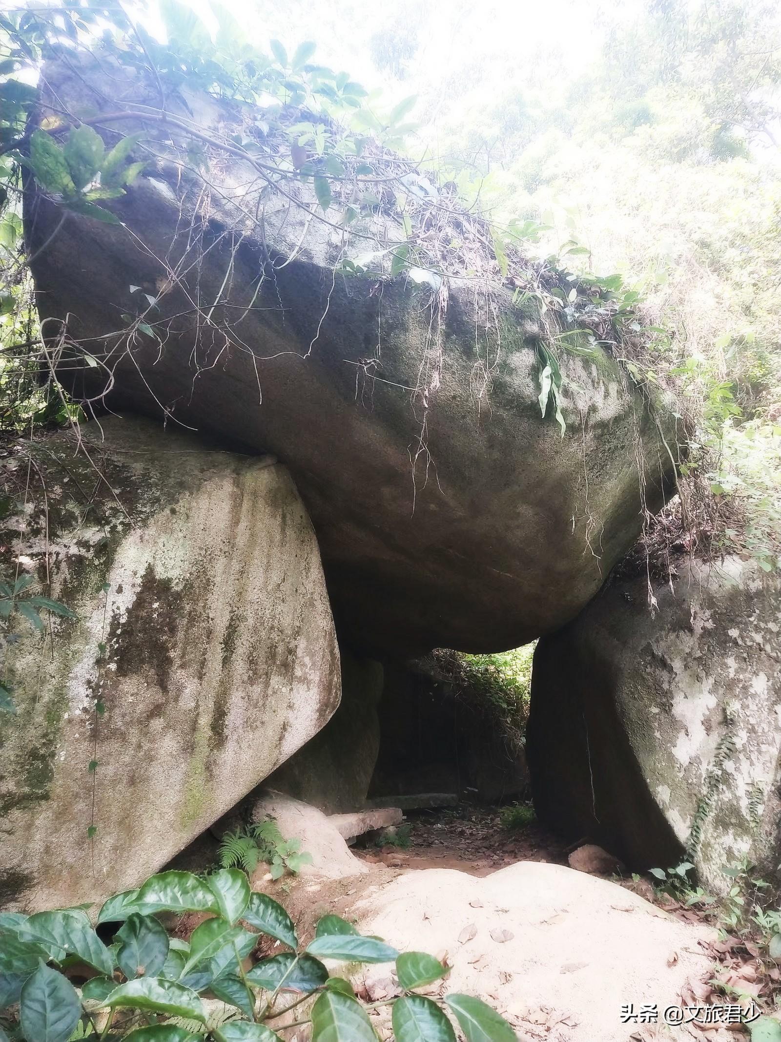 马山县公路运输管理事业单位招聘启事概览