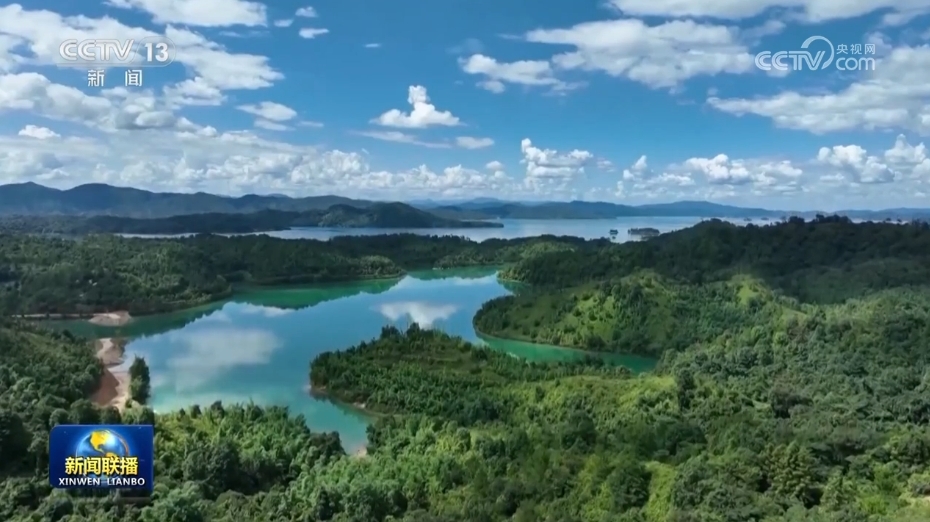 七星林场最新交通动态报道