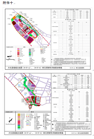 大化瑶族自治县卫生健康局最新发展规划概览