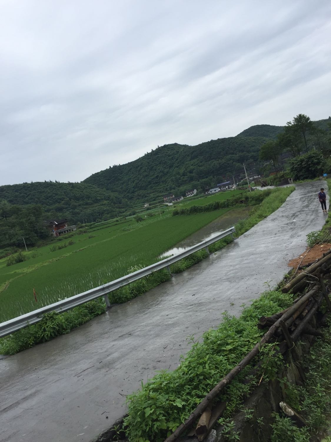 陵江村天气预报更新通知