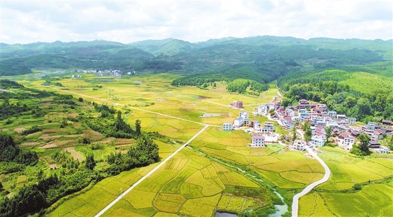 锦屏县农业农村局最新动态报道