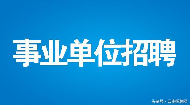 良庆区交通运输局最新招聘概览