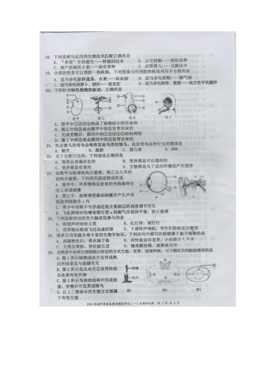 省直辖县级行政单位市气象局人事任命研究报告解析