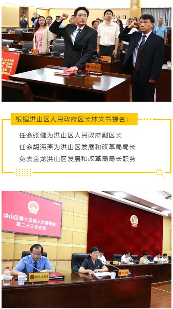 洪山区小学人事新任命，塑造教育新篇章